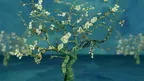 Van Gogh VR Experience by Max Siccardi screenshot 4