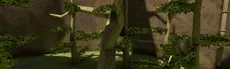 Gorilla Walkers hero image