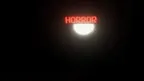 Afraid Apes screenshot 5