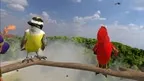 Birdwatching in El Reino Alado screenshot 1