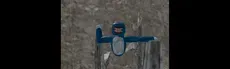 Jungle Monke hero image
