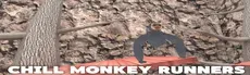 Chill Monke Runners hero image