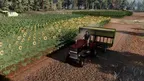 Ranch Simulator VR screenshot 2