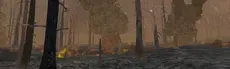 Forest Fire Regrowth hero image