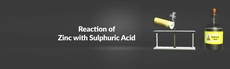 Reaction of Zinc with Sulfuric Acid 