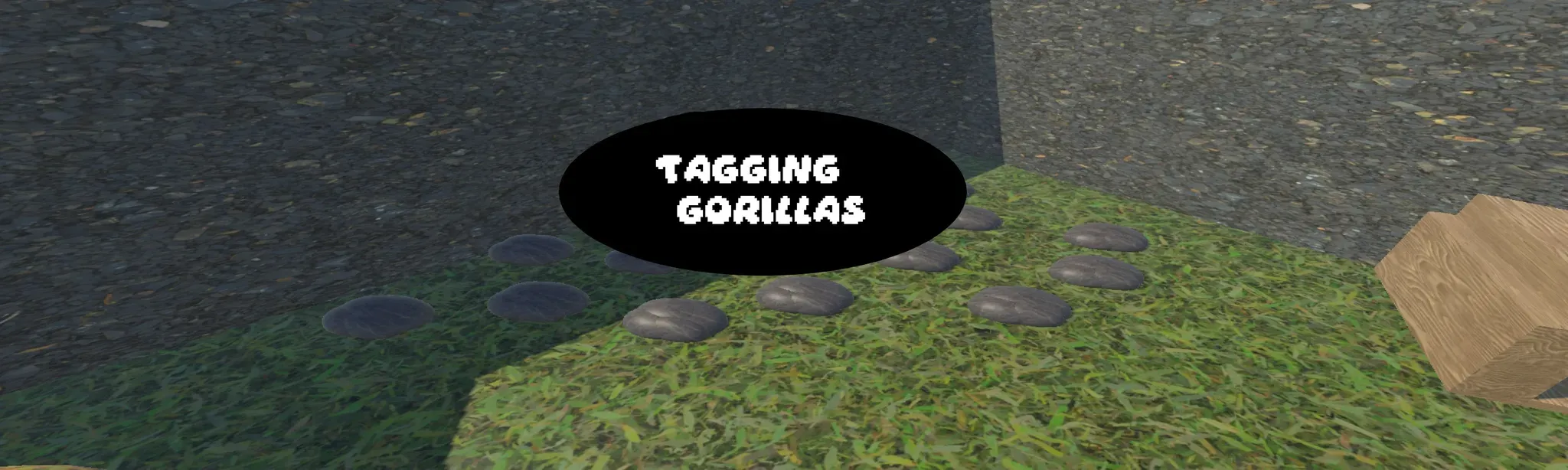 Tagging Gorillas