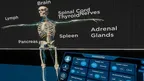 VR Game screenshot 5