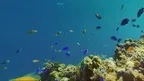 Natur'360 : Immersive well-being screenshot 5