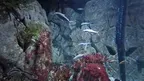 Aquariums on the Baltic Sea screenshot 3