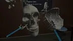 Human Anatomy Puzzle screenshot 3