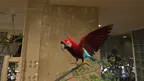 Relax With Bird screenshot 2