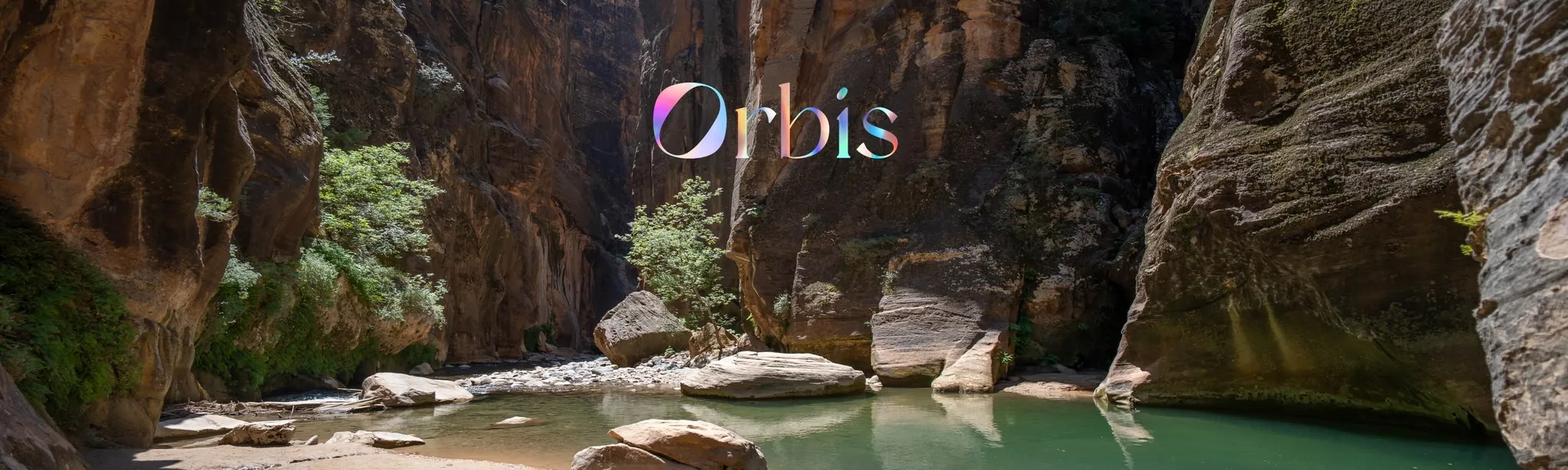 Orbis