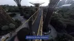SIA VR - Video - Full screenshot 4
