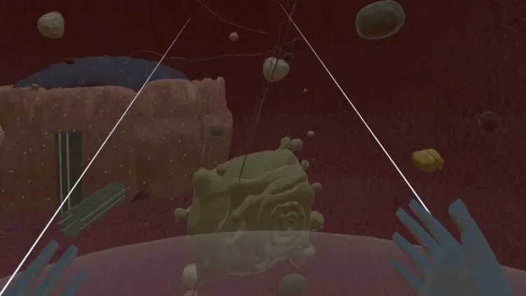 Developer update image for Explore Biology in 3D with Our Latest Update!