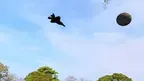 FlyMe Remote control airplane Dogfight screenshot 5
