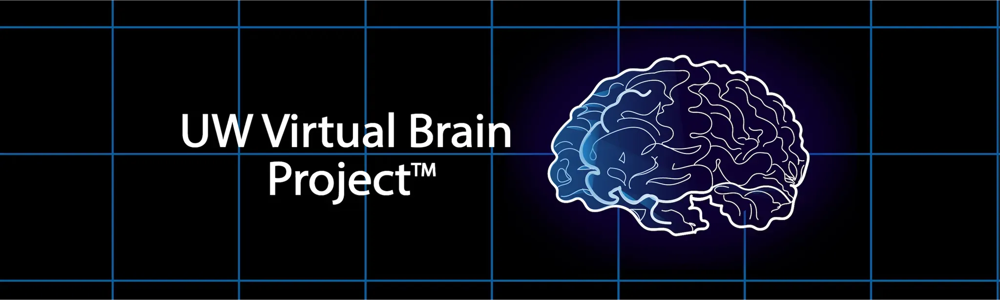 UW Virtual Brain Project