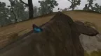 Lepidoptera screenshot 2