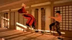 Dragon Fist: VR Kung Fu screenshot 2