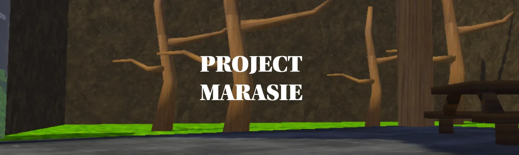 PROJECT MARASIE V3