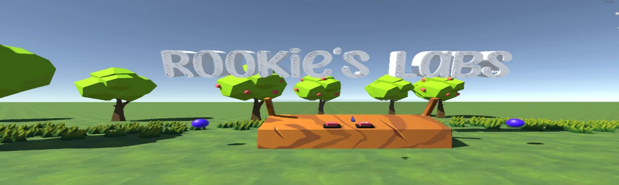 Rookie's Lab