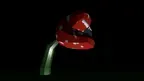 Forest Apes screenshot 1