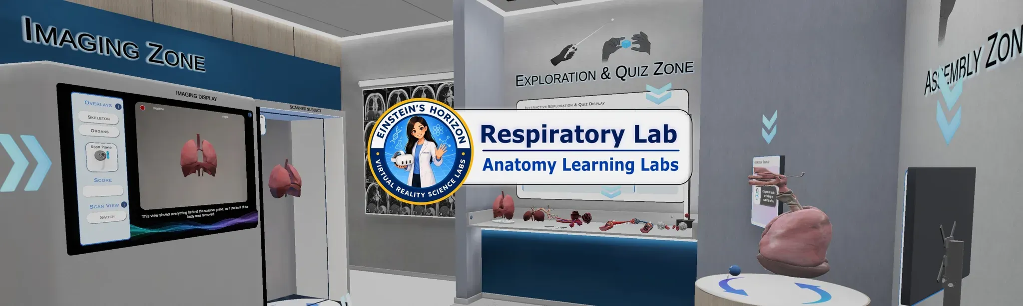 Anatomy Learning Labs: Respiratory Lab
