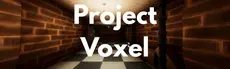 Project Voxel hero image