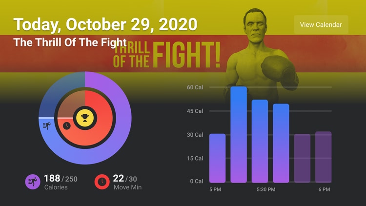 Developer update image for Track your fitness in The Thrill of the Fight