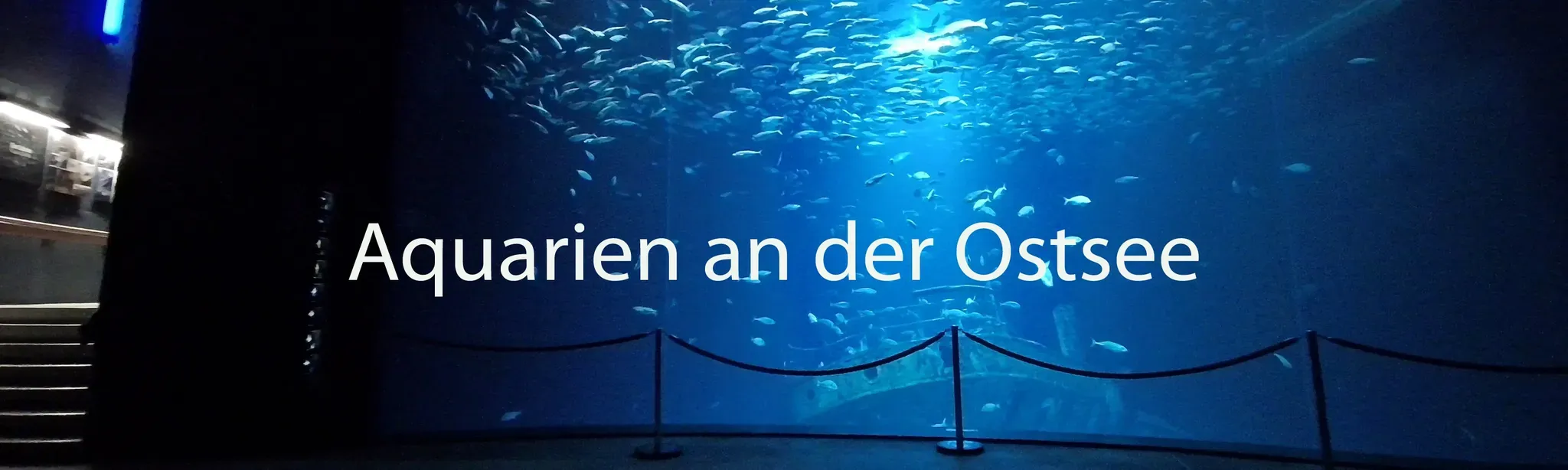 Aquariums on the Baltic Sea