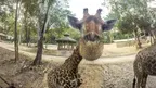 OneVid screenshot 1