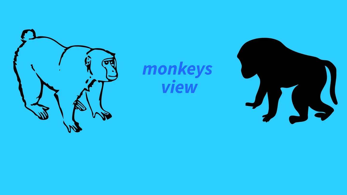 monkeys view trailer 0