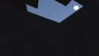 Tarsier screenshot 3
