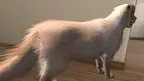 My puppy: Yellow Labrador screenshot 3