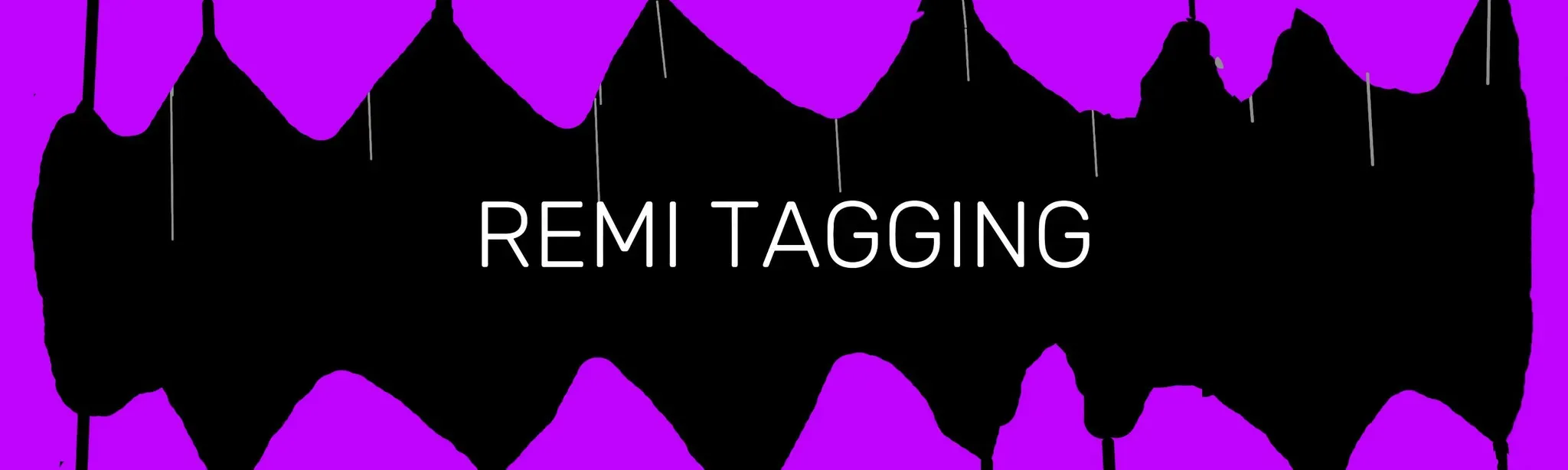 Remi Tagging