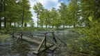 Duck Hunting Game: Hunter Sniper VR screenshot 2