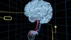 UW Virtual Brain Project screenshot 2