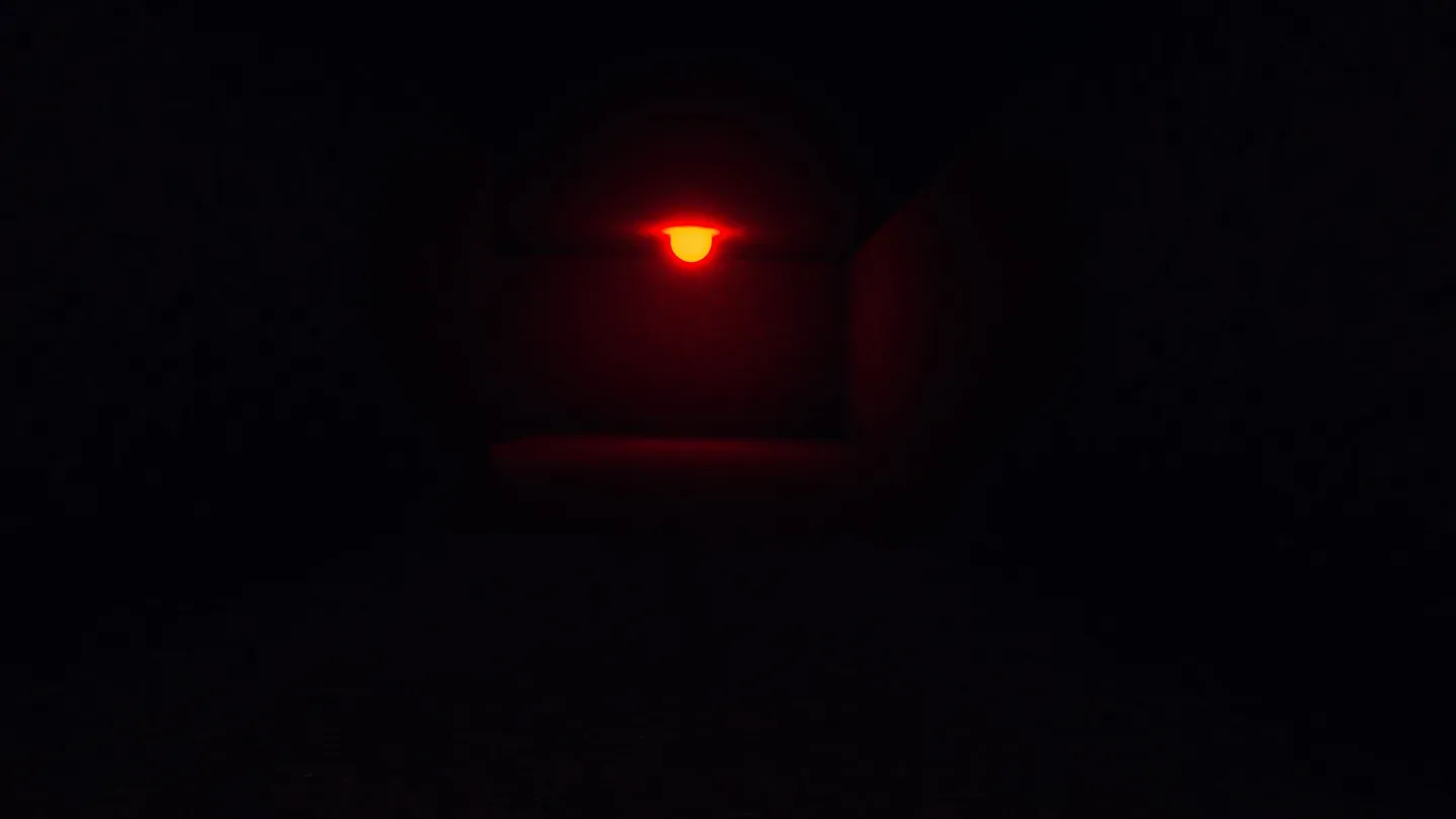 Scary Chimpss cover image