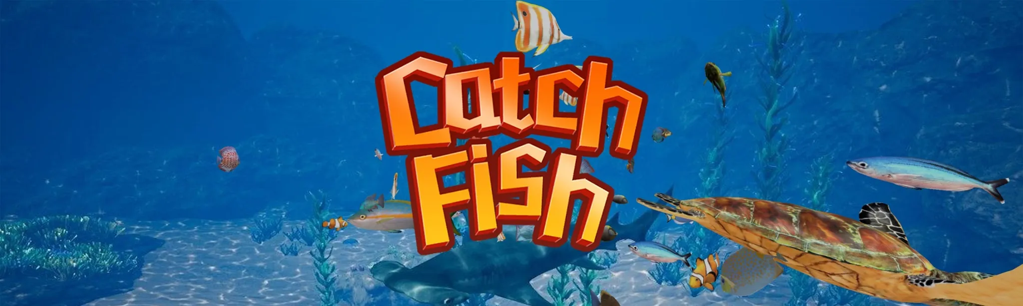CatchFish_MR