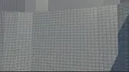 Dog Runners screenshot 0