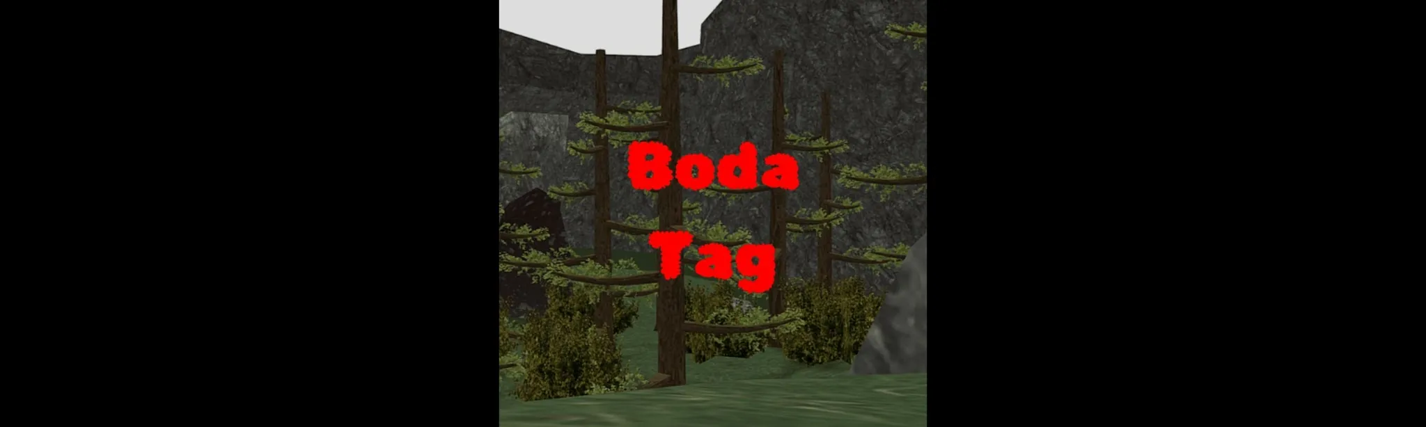 Boda Tag