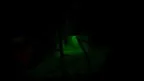 Gorillas Demise screenshot 0