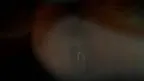 Fear Dead House screenshot 4