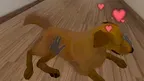My puppy: Brown Labrador screenshot 4