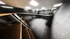 Scary Baboon LEGACY V2 screenshot 2