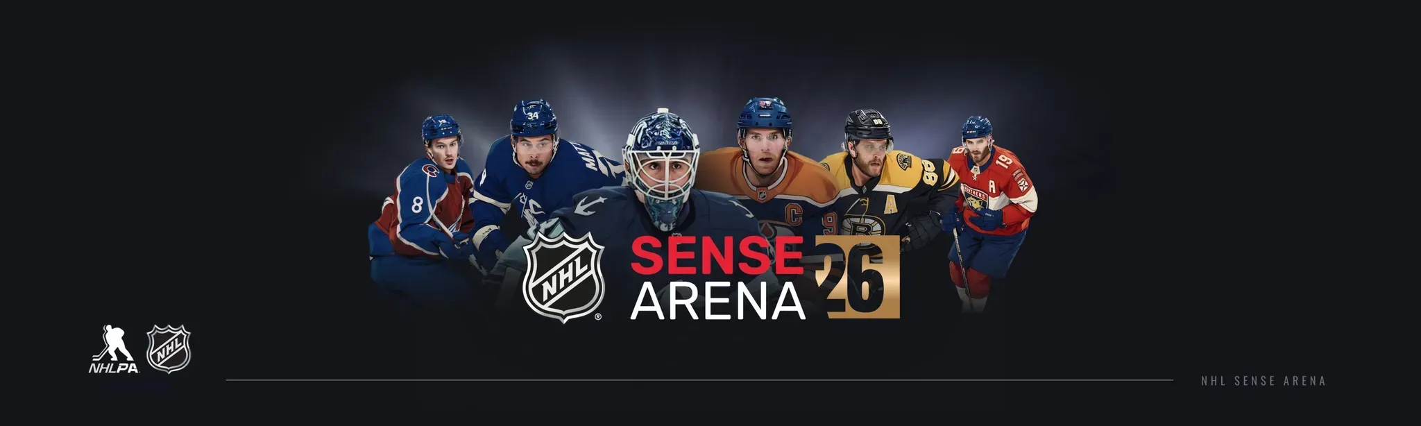 NHL SENSE ARENA 26 VR Hockey