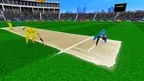Real VR Cricket Game screenshot 4