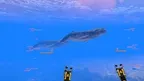The Great Ocean screenshot 4