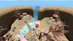 Chimp Swingers screenshot 2