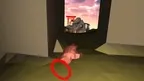 TTP screenshot 2