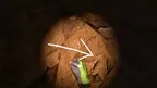 Cave Crave screenshot 5